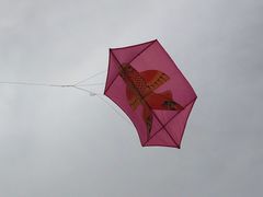 -汇泉广场