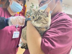 -宠颐生中康贝怡动物医院