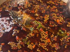 -味之绝热血美蛙鱼火锅(中坝店)