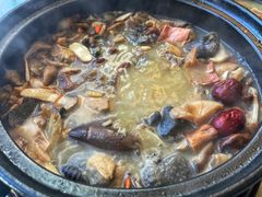 -蘑统田下·野生菌火锅