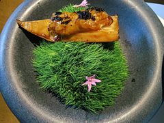 黑松露傍林鲜-觀芷隐轩