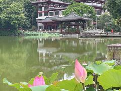 -国恩寺