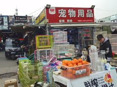 -中环花鸟鱼虫市场