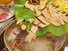 -大理董·董家小厨野生菌火锅(古城旗舰店)
