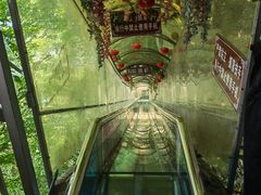 -仙岛湖旅游风景区