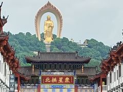-庐山风景名胜区-东林大佛