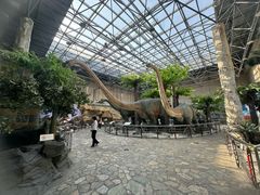 -国家自然博物馆