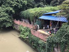 -成都市活水公园