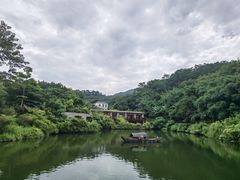 -龙山酒店温泉