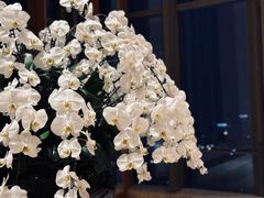 -视界美食自助餐厅·石家庄希尔顿酒店