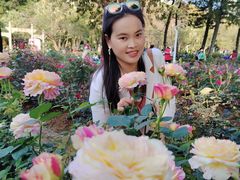 -人民公园(罗湖区)