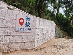 -绿草墩