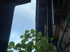 -MOJ coffee(瓯海泽雅水碓坑店)