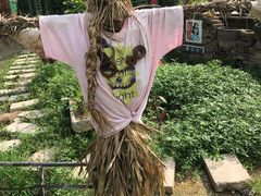 -三门江国家森林公园