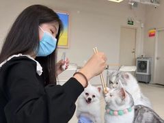 -怪兽屋·羊驼·猫咖·狗咖(俊华广场店)