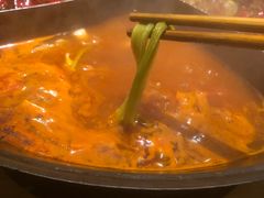 -白乐天毛肚火锅馆(解放碑店)