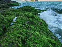 -惠州金海湾嘉华度假酒店