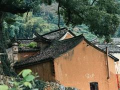-杨家堂村