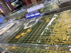 -印象天台·非遗文化美食