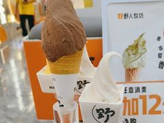 -野人先生现做冰淇淋(西安赛格店)