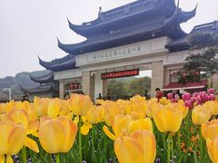 -苏州上方山国家森林公园