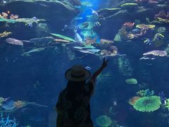 -暹罗海洋世界