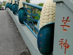 -上海长兴岛郊野公园