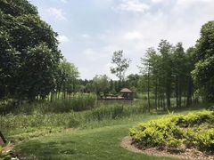 -东平国家森林公园