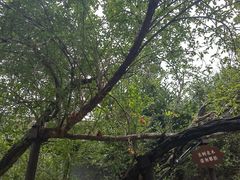 -湖南省立第一师范学校旧址