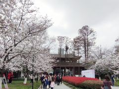 -堤角公园