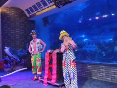 -成都浩海立方海洋公园