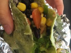 -油梨树 AVOCADO TREE(亮马桥店)