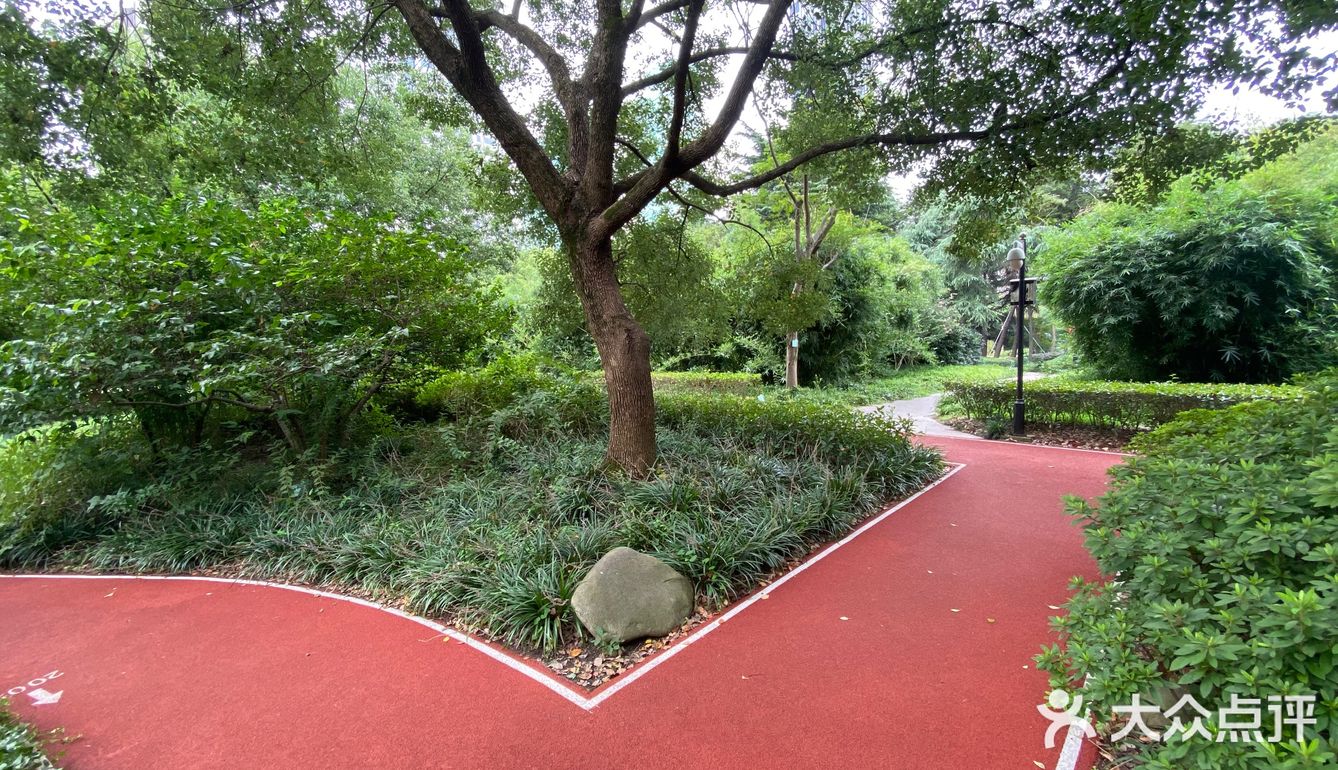 五星公园——延中广场绿地