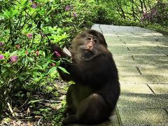 -西岭雪山大飞水景区