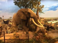 -陕西自然博物馆