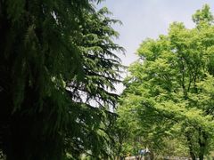-洛阳市隋唐城遗址植物园