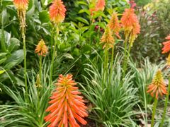 -徐家汇源景区-衡山公园