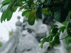 -留园