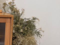 -团子君寿司·茶