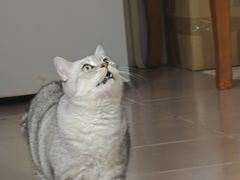 -博特宠物医院24h犬猫全科.骨科·异宠