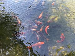 -柯岩风景区