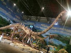 -自贡恐龙博物馆