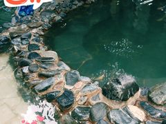 -春晖园度假酒店温泉