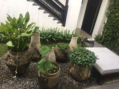 -清迈菩提塞雷纳