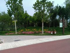 -武清南湖绿博园