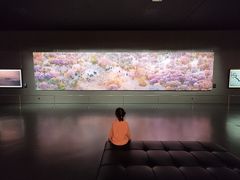 -罗红摄影艺术馆