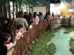 -中国杭州低碳科技馆