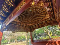 -汇龙潭