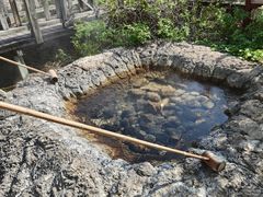 -天芳悦潭度假村温泉