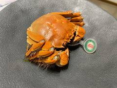 -红鼎豆捞·非遗鲍皇汤火锅(宝丰路店)